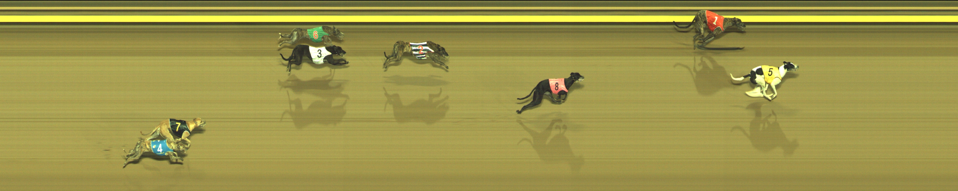 Photo finish for Geelong Race 4