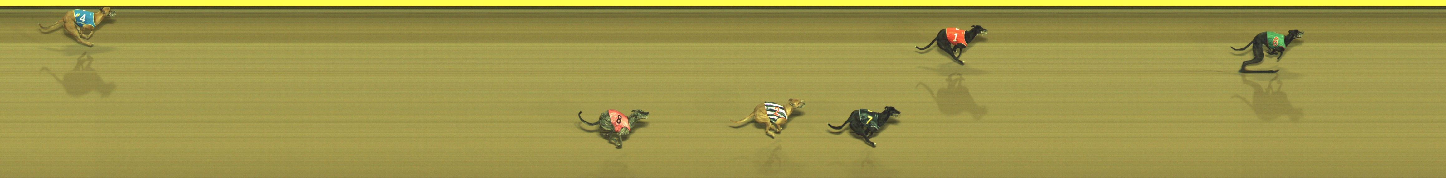Photo finish for Geelong Race 5