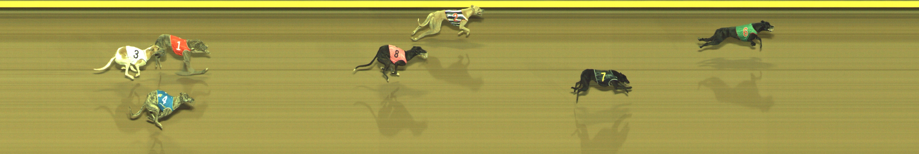 Photo finish for Geelong Race 6