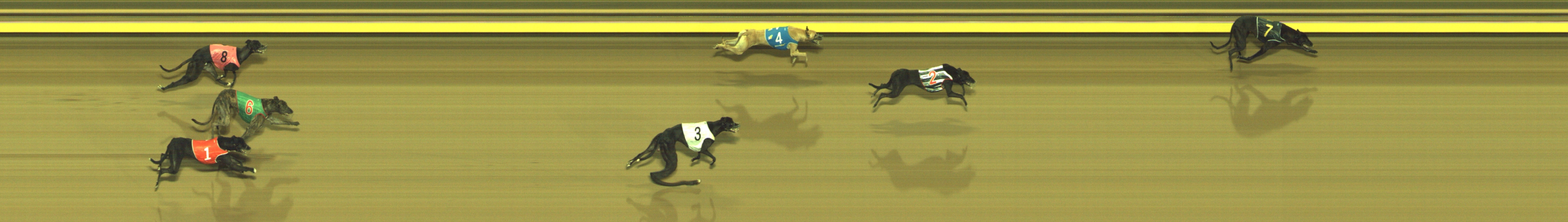 Photo finish for Geelong Race 7