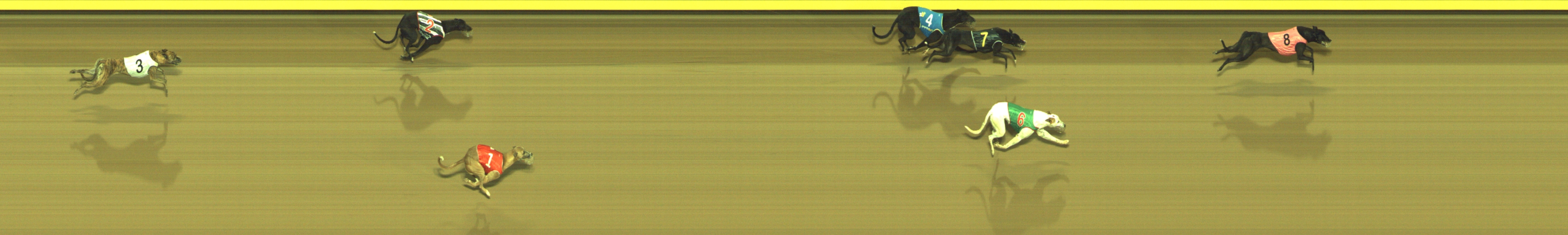 Photo finish for Geelong Race 8