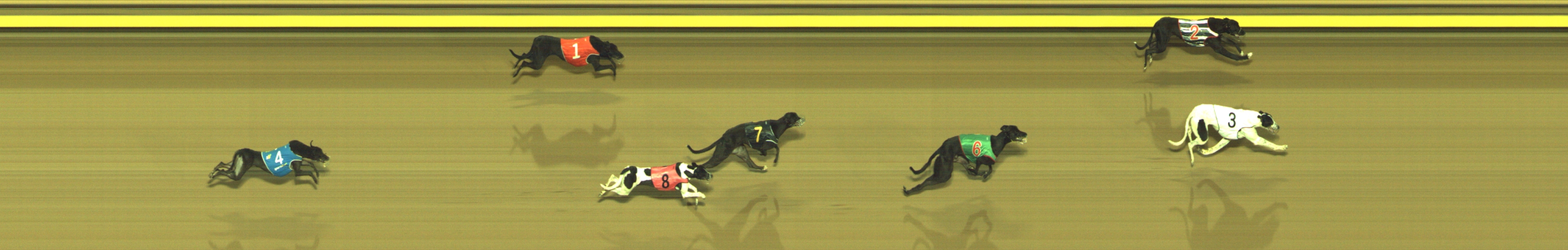 Photo finish for Geelong Race 10