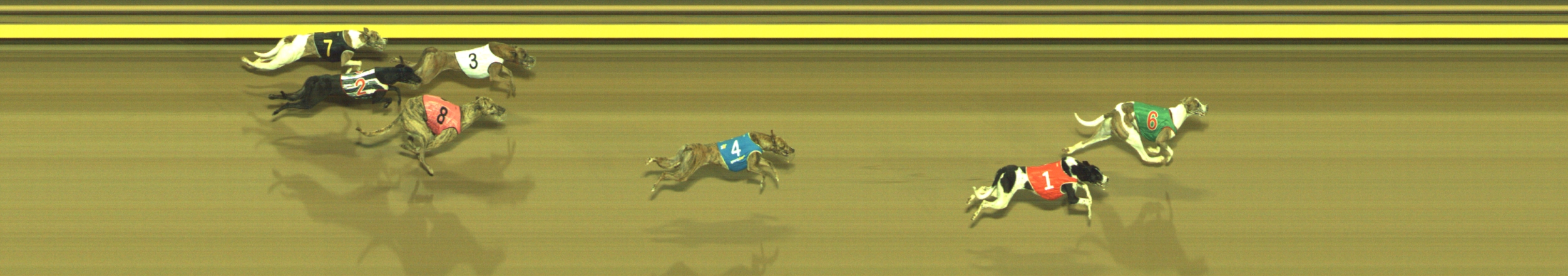 Photo finish for Geelong Race 11