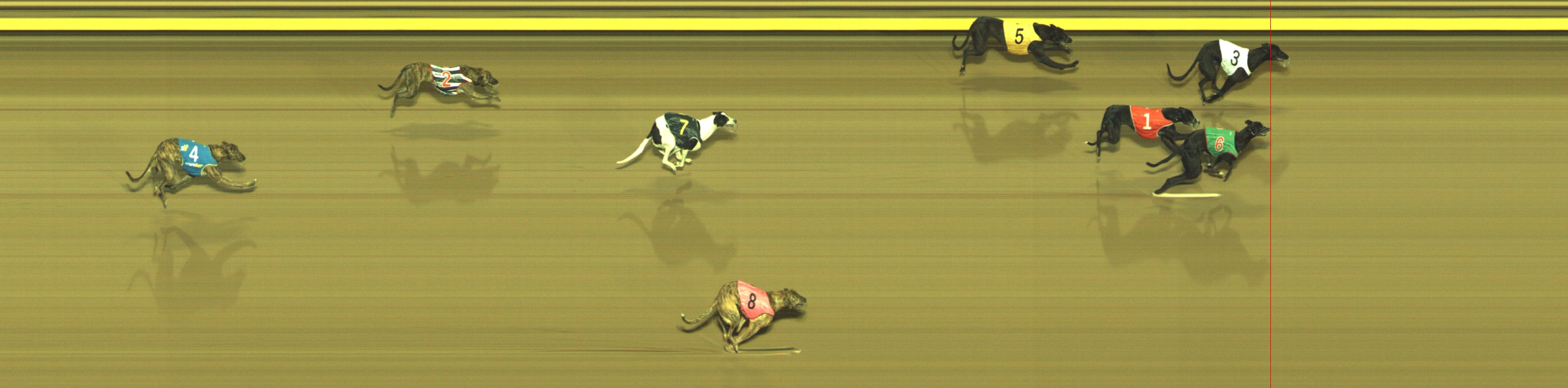 Photo finish for Geelong Race 12