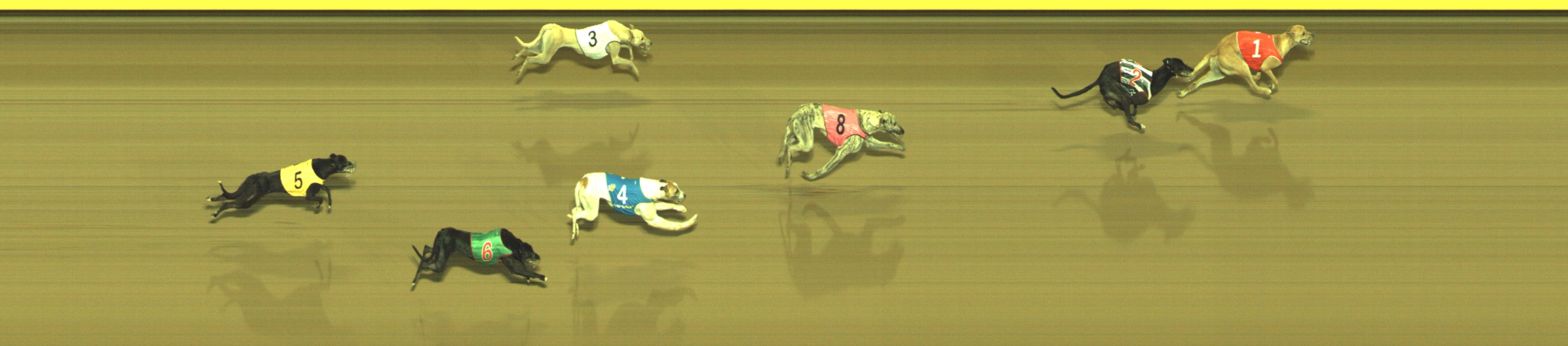 Photo finish for Geelong Race 13