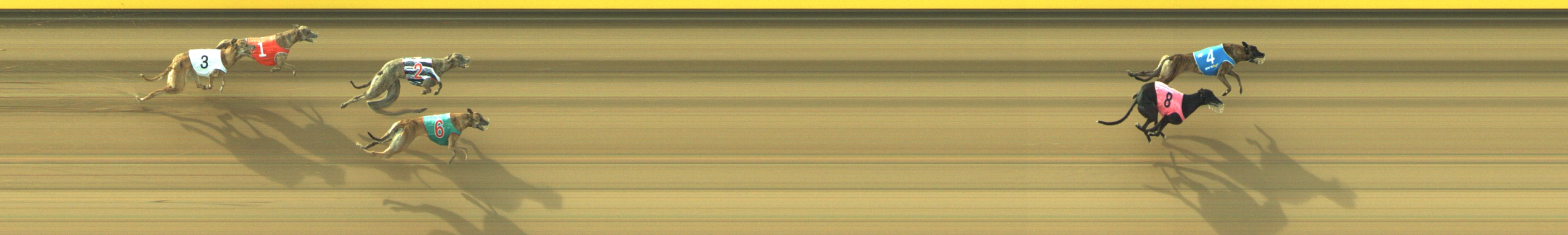 Photo finish for Geelong Race 2