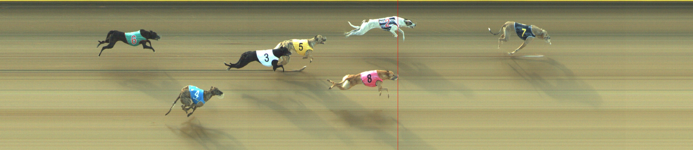 Photo finish for Geelong Race 3