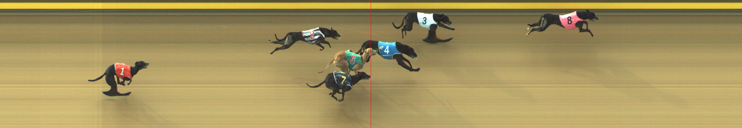 Photo finish for Geelong Race 4