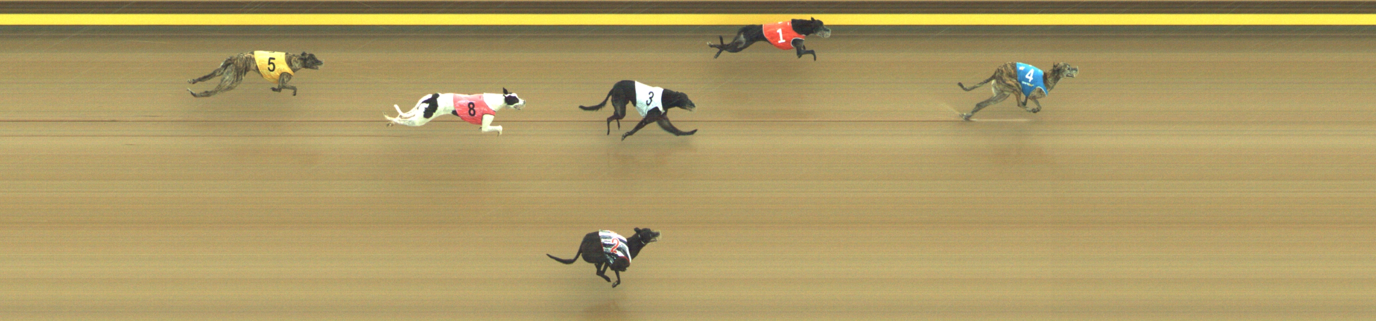 Photo finish for Geelong Race 5