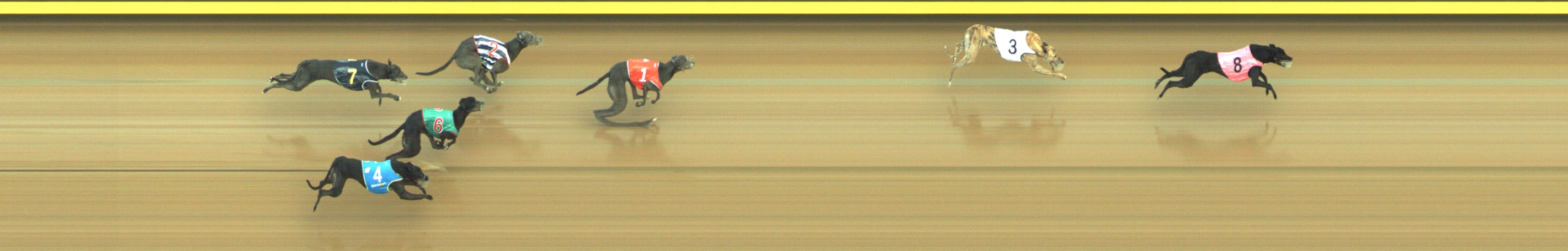Photo finish for Geelong Race 6