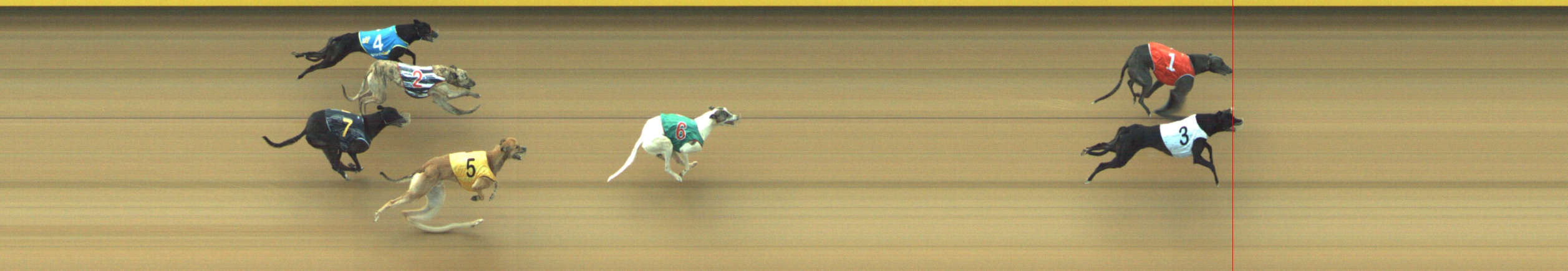 Photo finish for Geelong Race 7