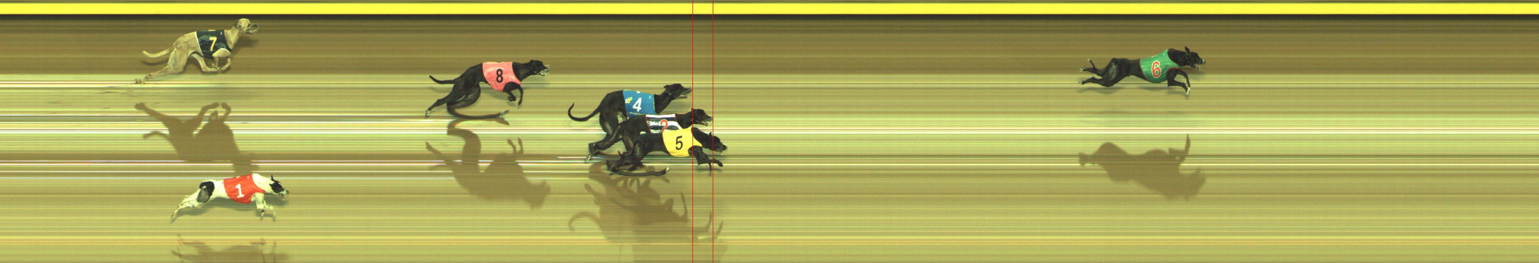 Photo finish for Geelong Race 8