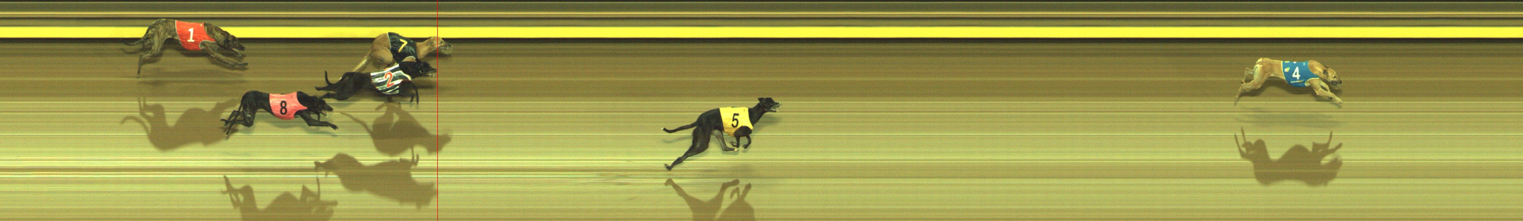 Photo finish for Geelong Race 9