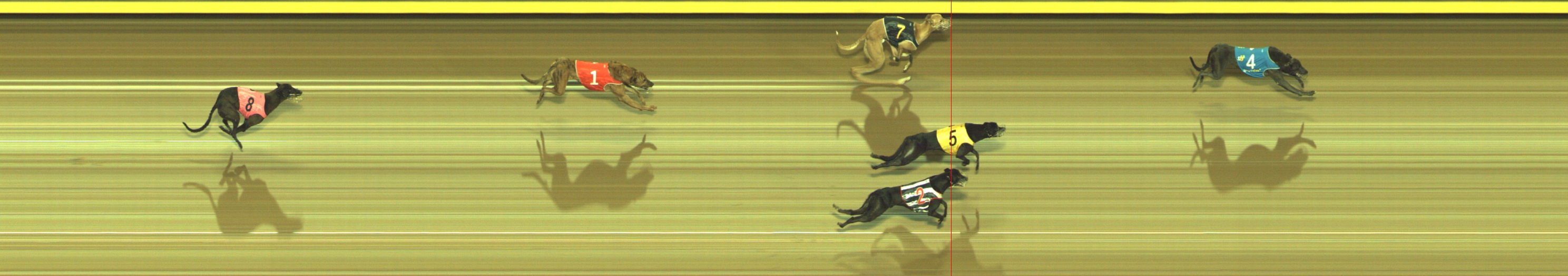 Photo finish for Geelong Race 10