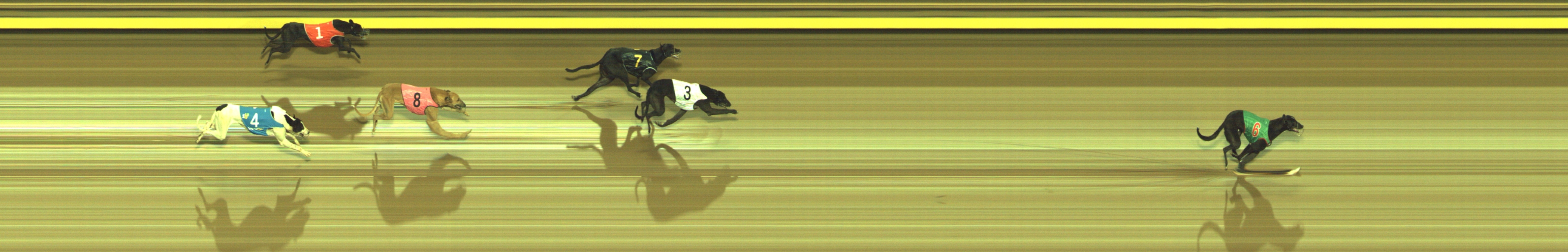 Photo finish for Geelong Race 11