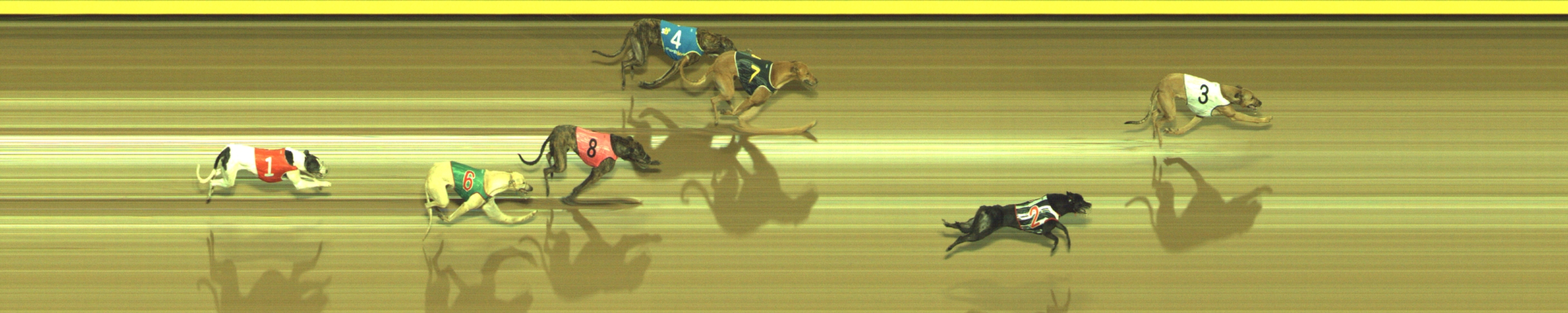 Photo finish for Geelong Race 12