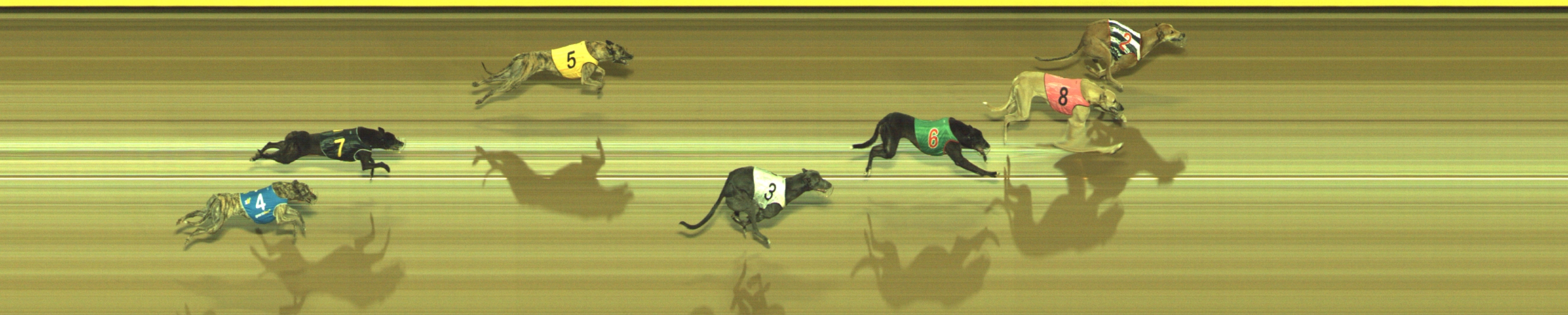 Photo finish for Geelong Race 13