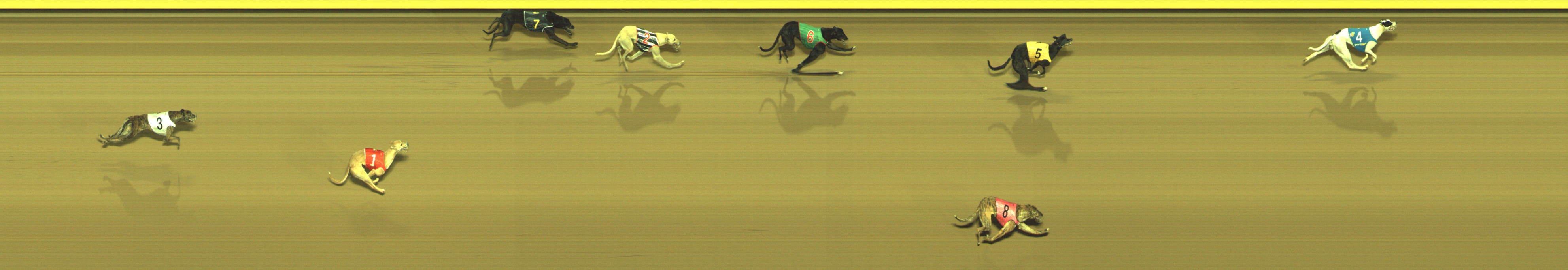 Photo finish for Geelong Race 1