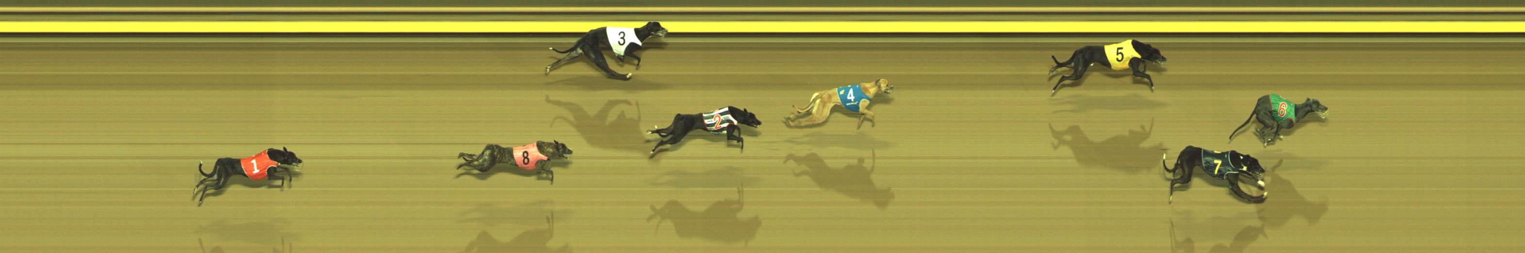 Photo finish for Geelong Race 2