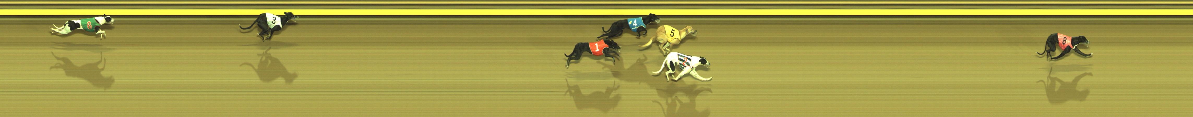 Photo finish for Geelong Race 3