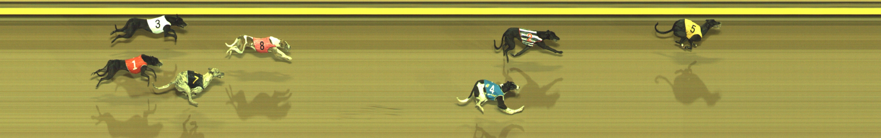 Photo finish for Geelong Race 5