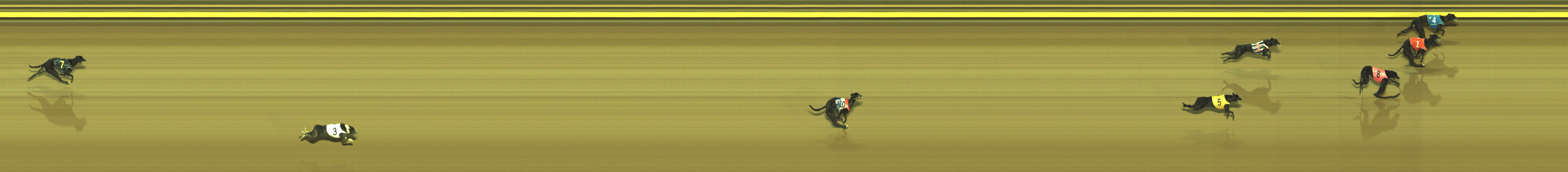 Photo finish for Geelong Race 6