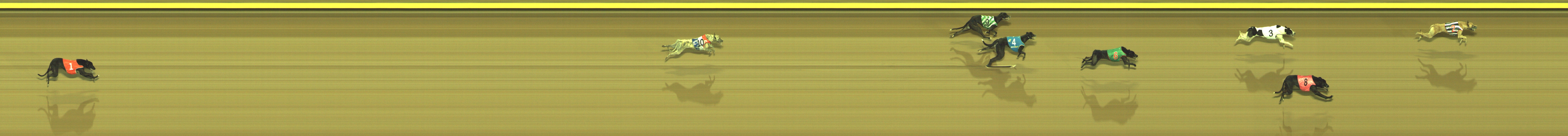 Photo finish for Geelong Race 7