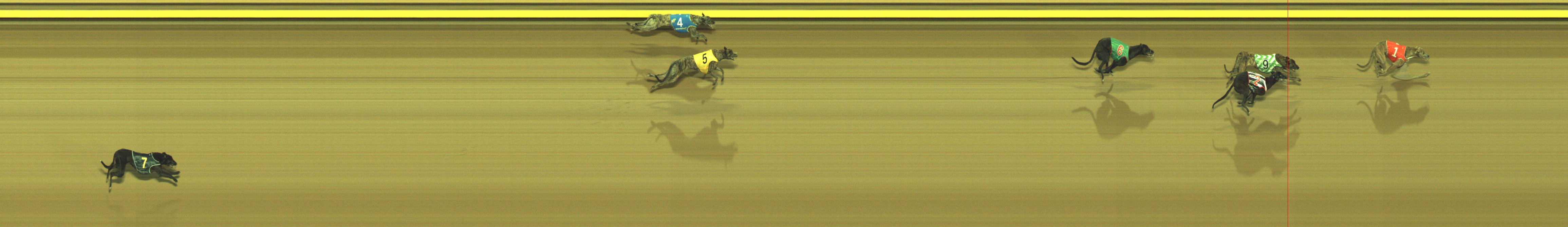 Photo finish for Geelong Race 8