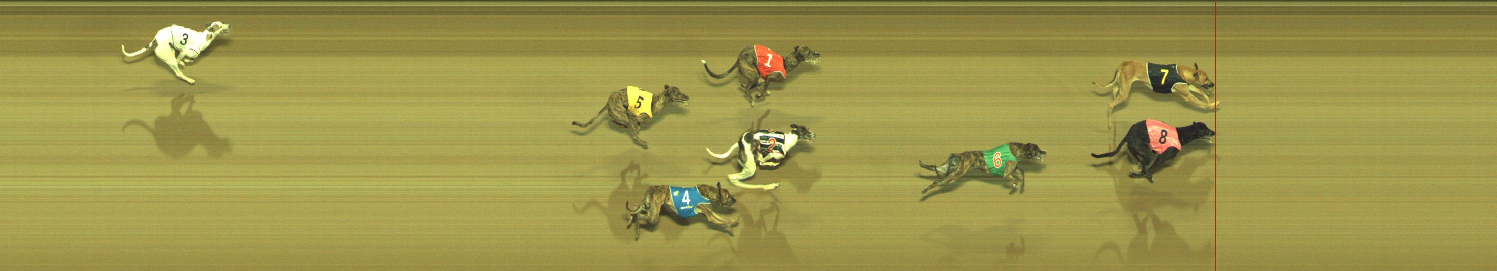 Photo finish for Geelong Race 9