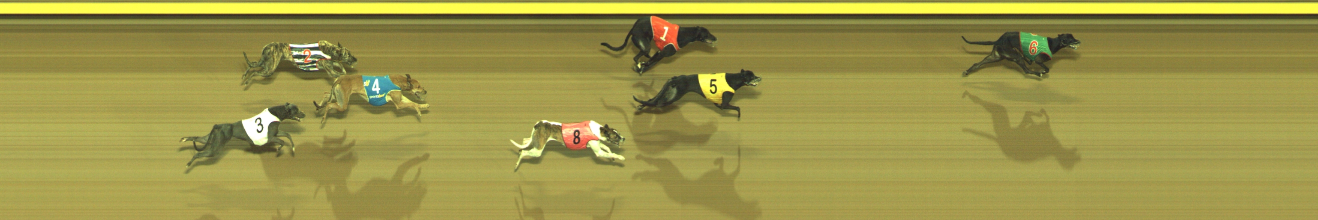 Photo finish for Geelong Race 10