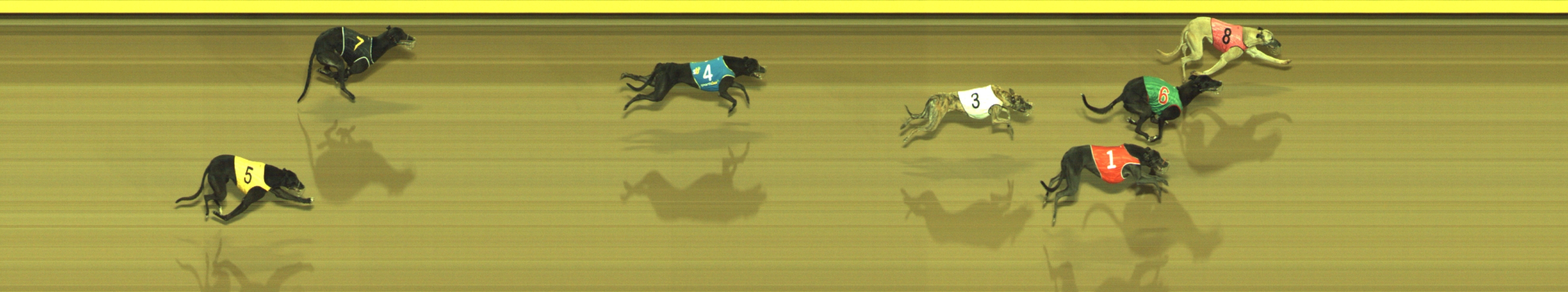 Photo finish for Geelong Race 11
