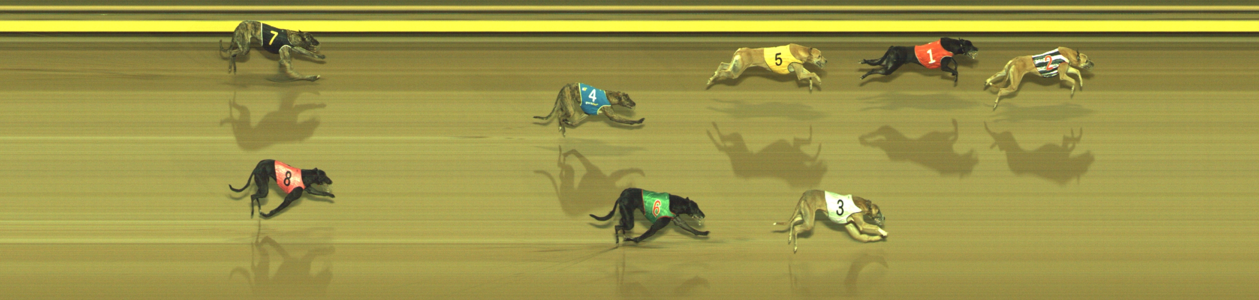 Photo finish for Geelong Race 12