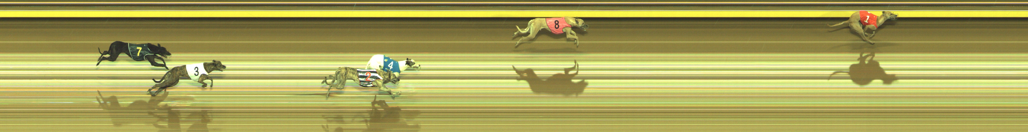 Photo finish for Geelong Race 2