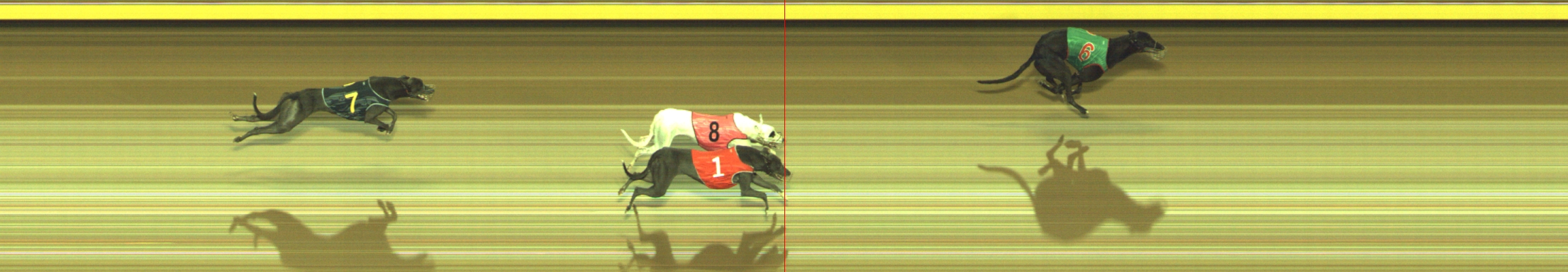 Photo finish for Geelong Race 3