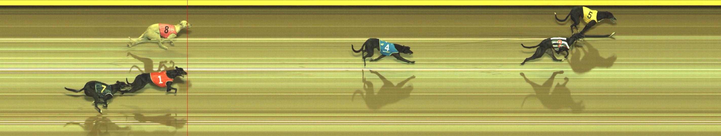 Photo finish for Geelong Race 4
