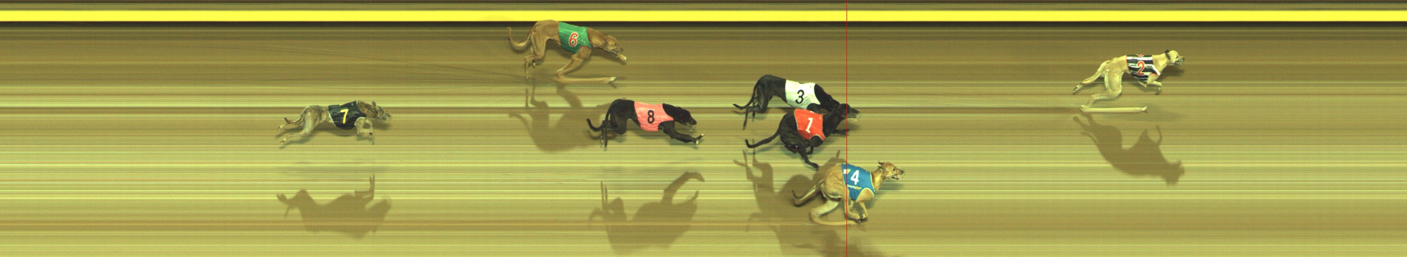 Photo finish for Geelong Race 5