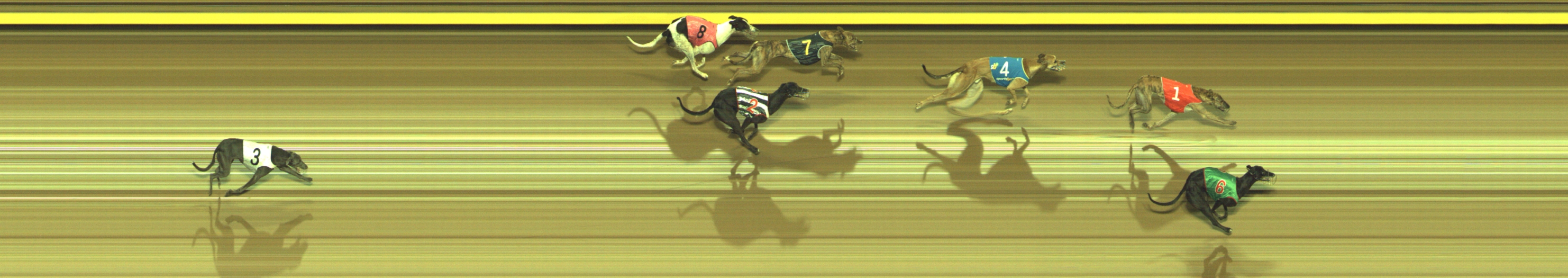 Photo finish for Geelong Race 6