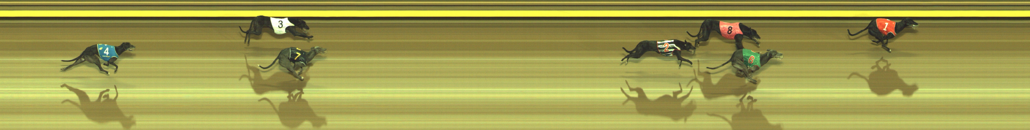 Photo finish for Geelong Race 7