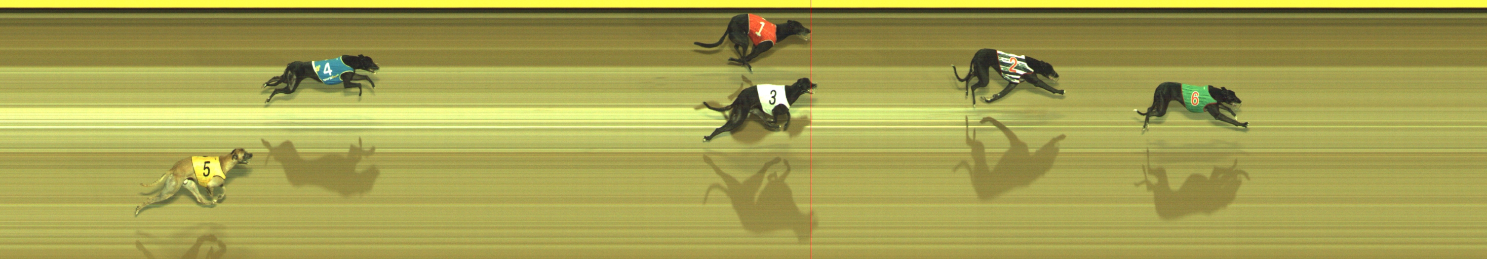 Photo finish for Geelong Race 8