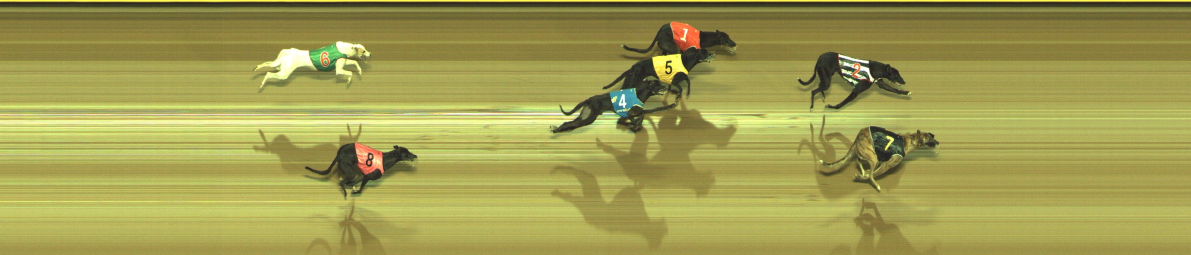 Photo finish for Geelong Race 9