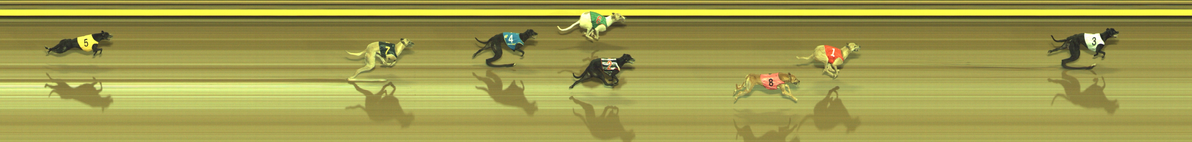 Photo finish for Geelong Race 10