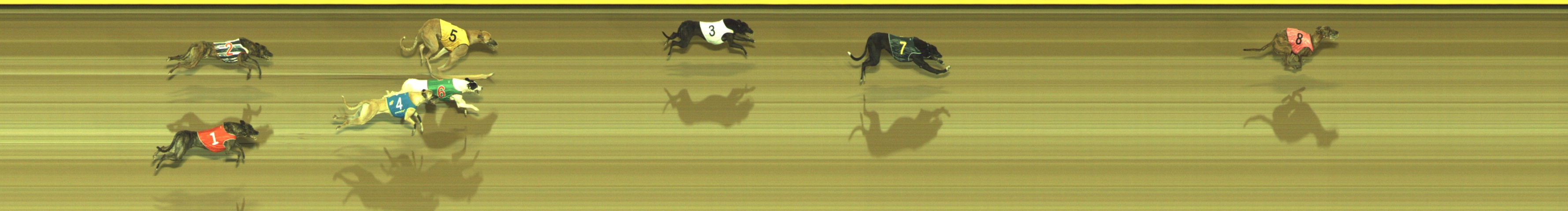 Photo finish for Geelong Race 11