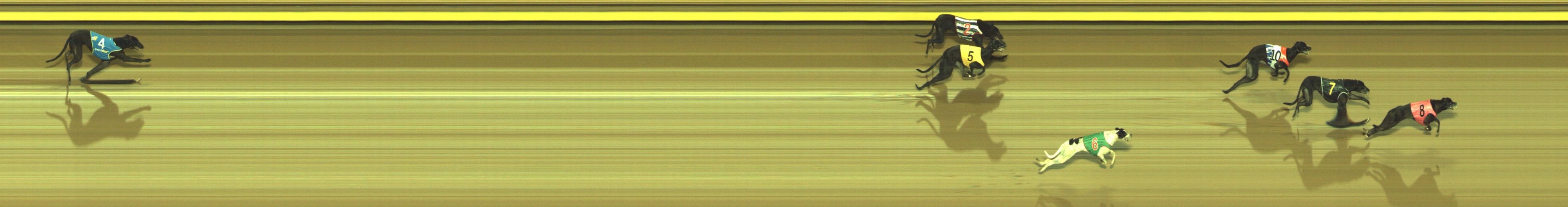 Photo finish for Geelong Race 12