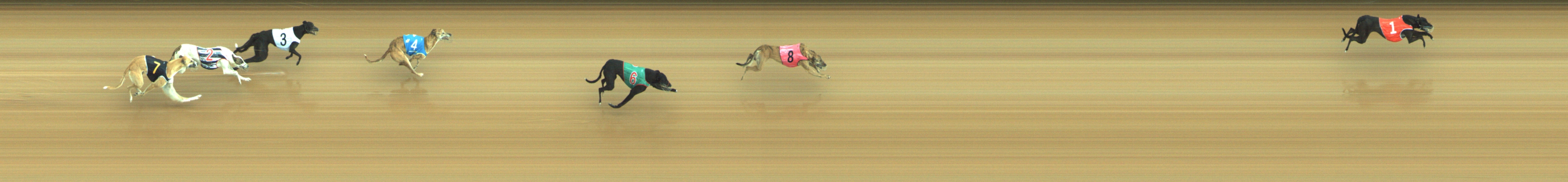 Race result finish photo