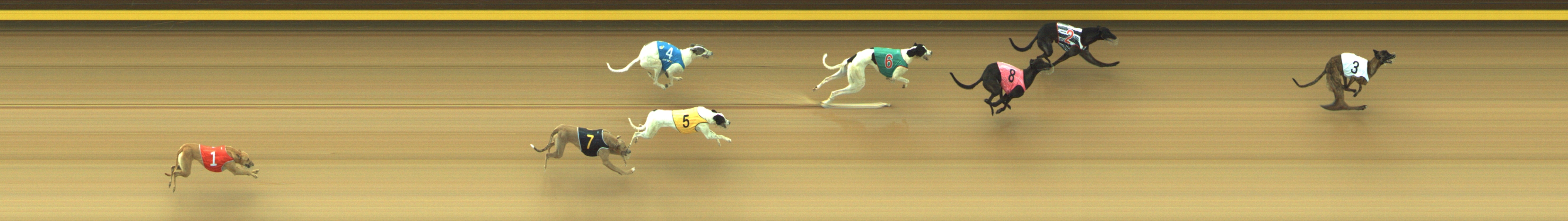 Race result finish photo