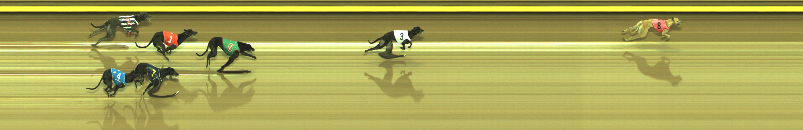 Race result finish photo