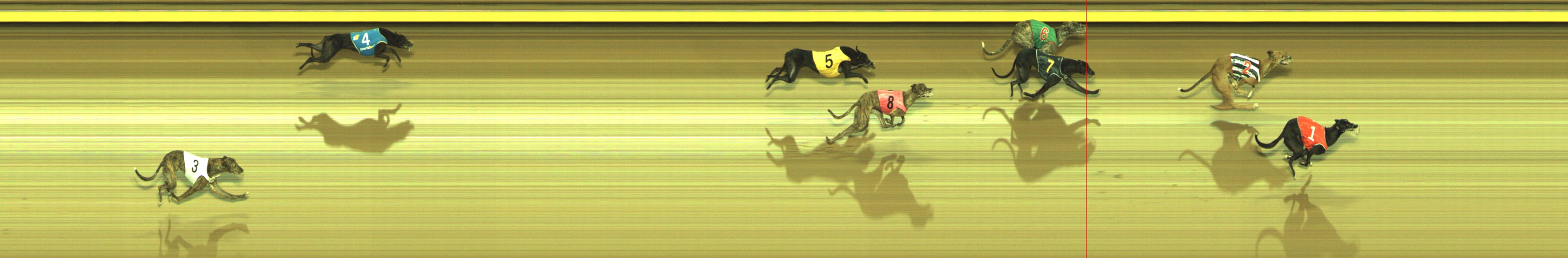 Race result finish photo