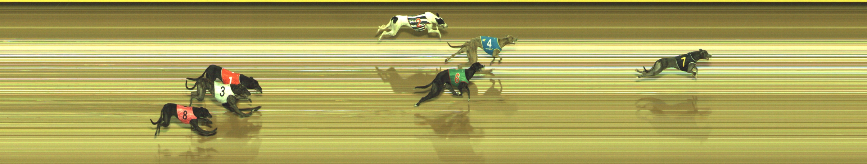 Race result finish photo