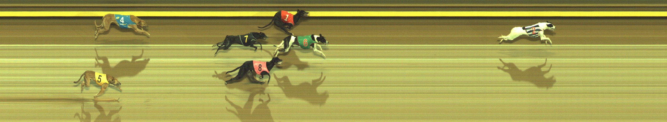 Race result finish photo