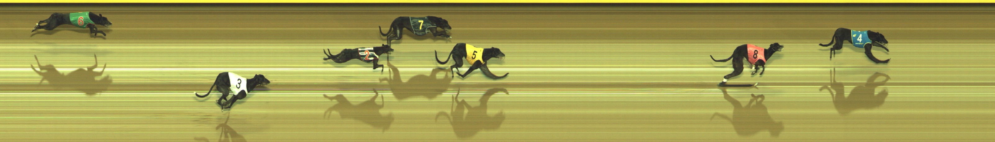 Race result finish photo